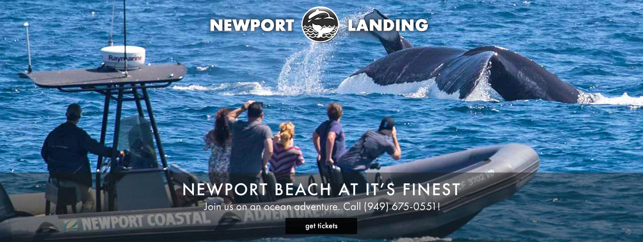 Newport Landing whalewatching in Orange County