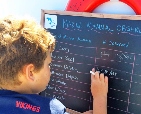 A young boy writes on a chalkboard and makes marine mammal observations.