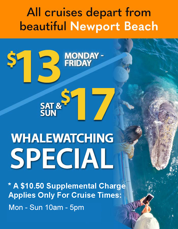 coupons for american princess cruises whale watching