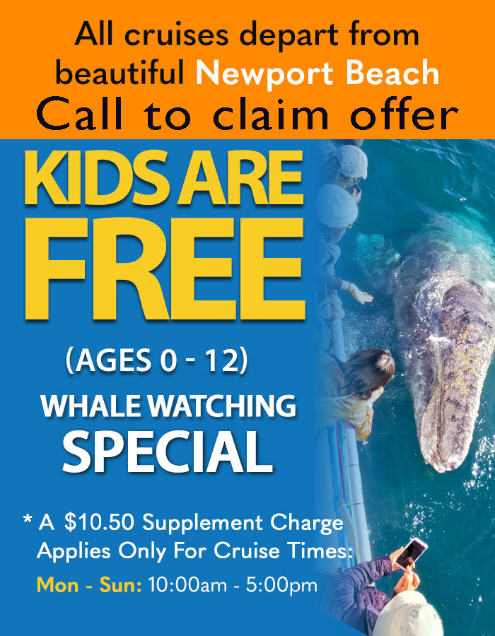 COUPON-kidsfree2